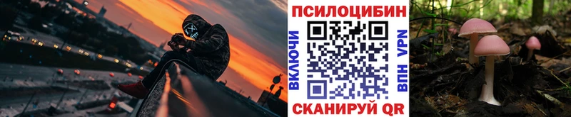 Псилоцибиновые грибы GOLDEN TEACHER  даркнет сайт  Константиновск 